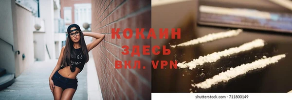 spice Арсеньев