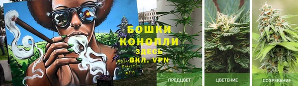 spice Арсеньев