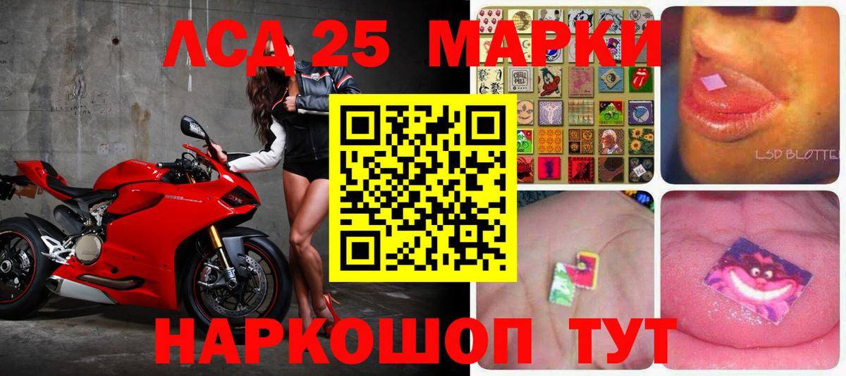 Псилоцибиновые грибы Петропавловск-Камчатский