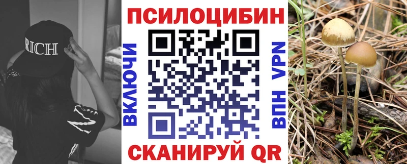 Псилоцибиновые грибы мицелий  где найти наркотики  Петропавловск-Камчатский 