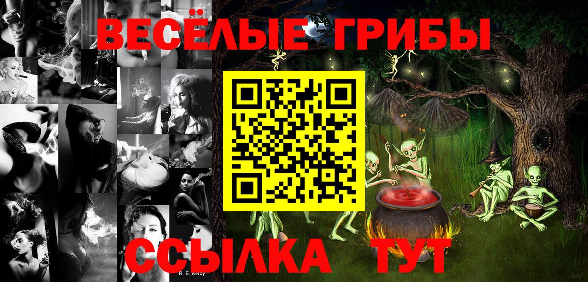 Галлюциногенные грибы Magic Shrooms Петропавловск-Камчатский